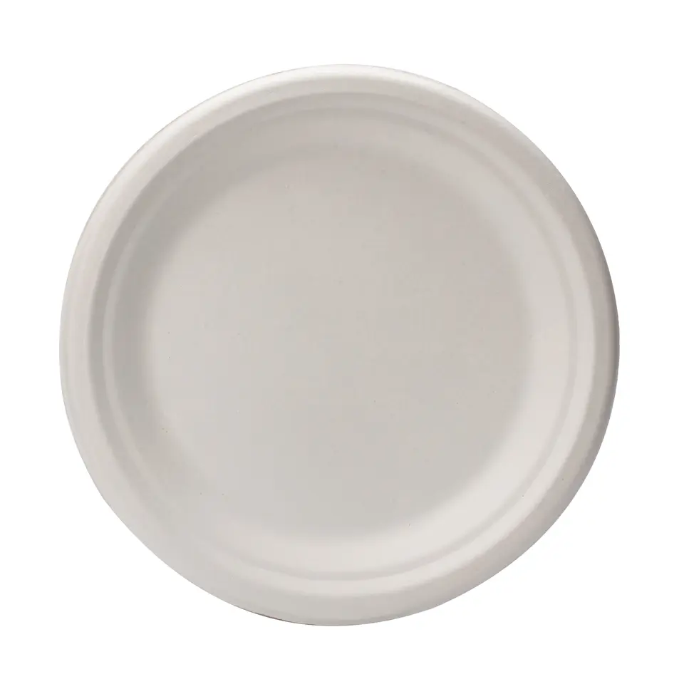 Bagasse Teller - Zuckerrohr - RyanPack