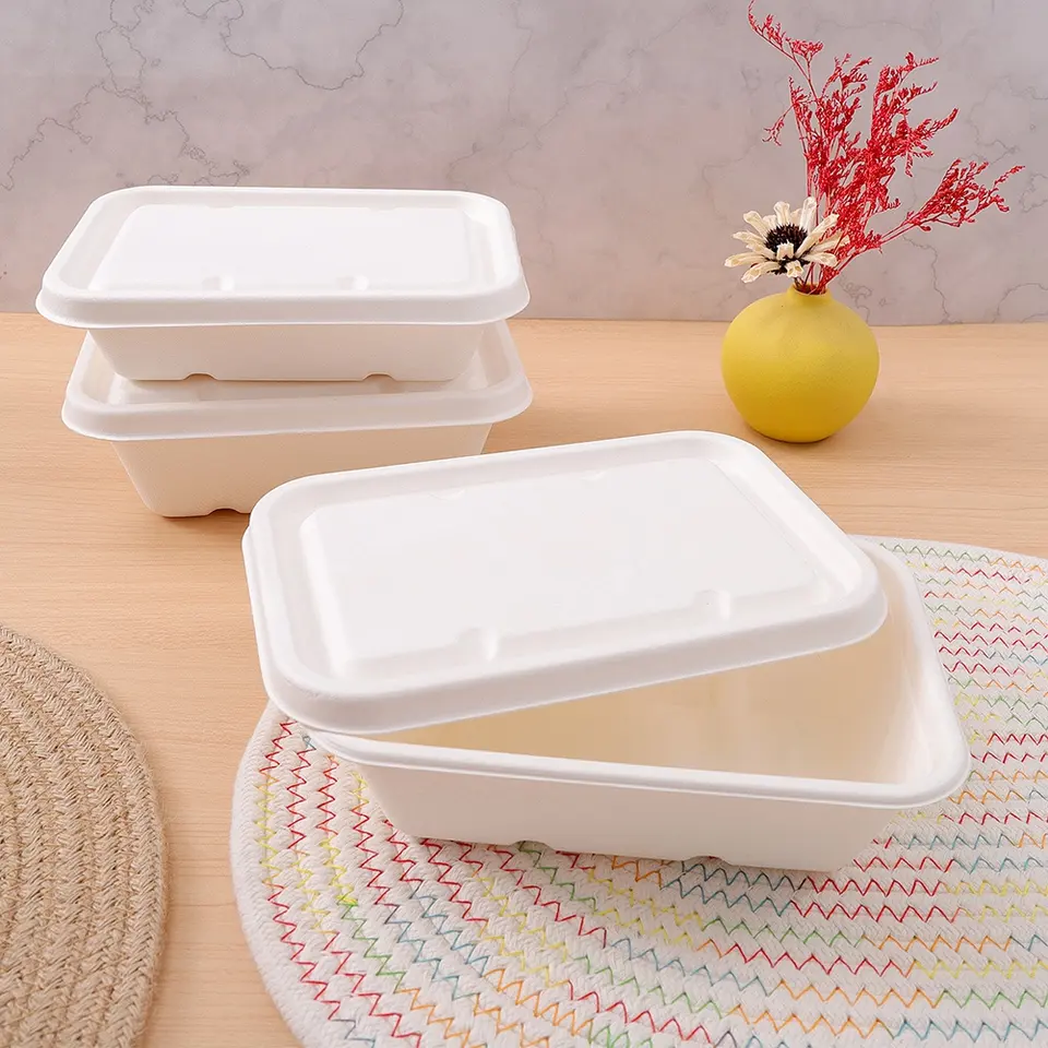 Bagasse husks - sugar cane - RyanPack