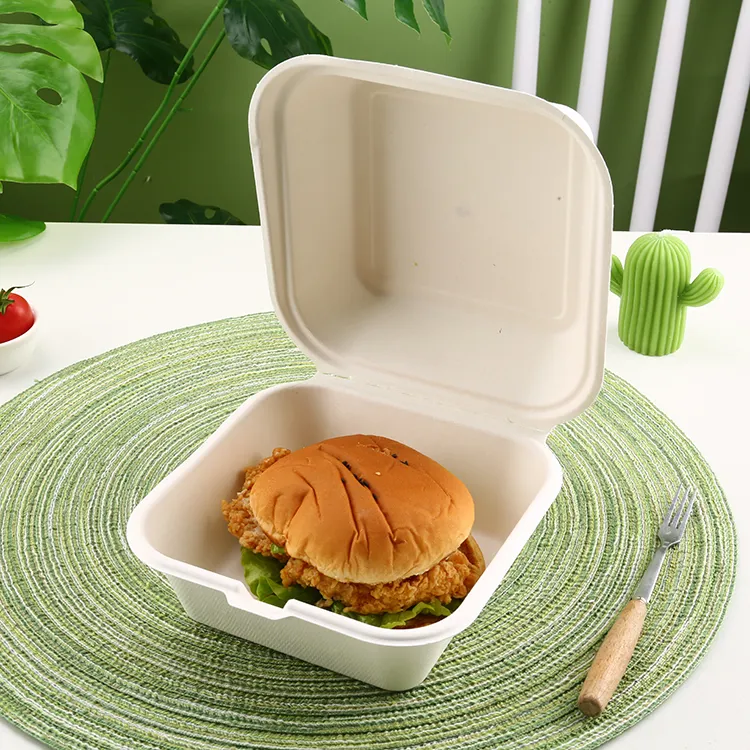 Bagasse Menüboxen mit Deckel, ungeteilt - Zuckerrohr - RyanPack