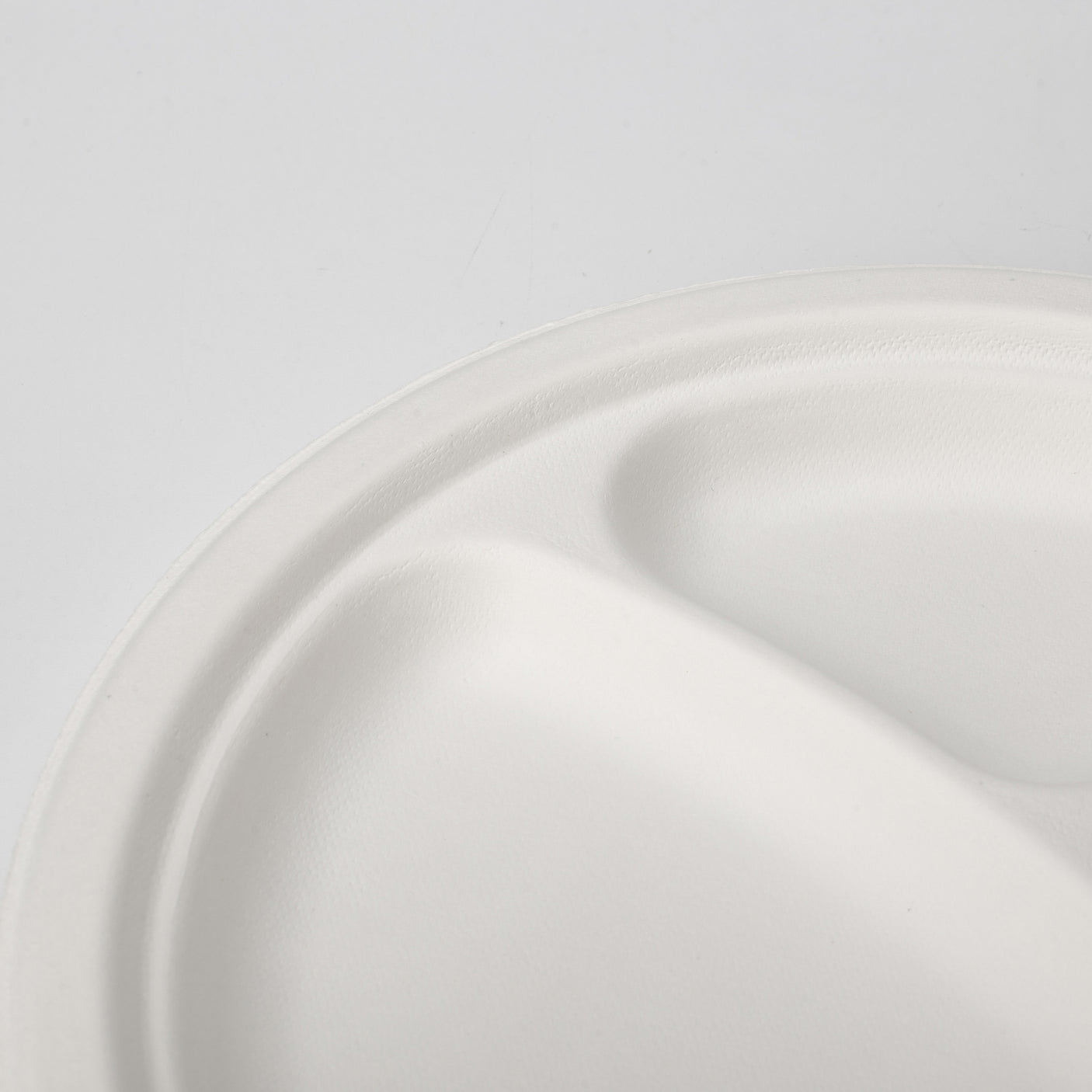 2-part Bagasse plate - sugar cane - RyanPack