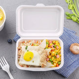 Bagasse meal boxes with lid, undivided - sugar cane - RyanPack