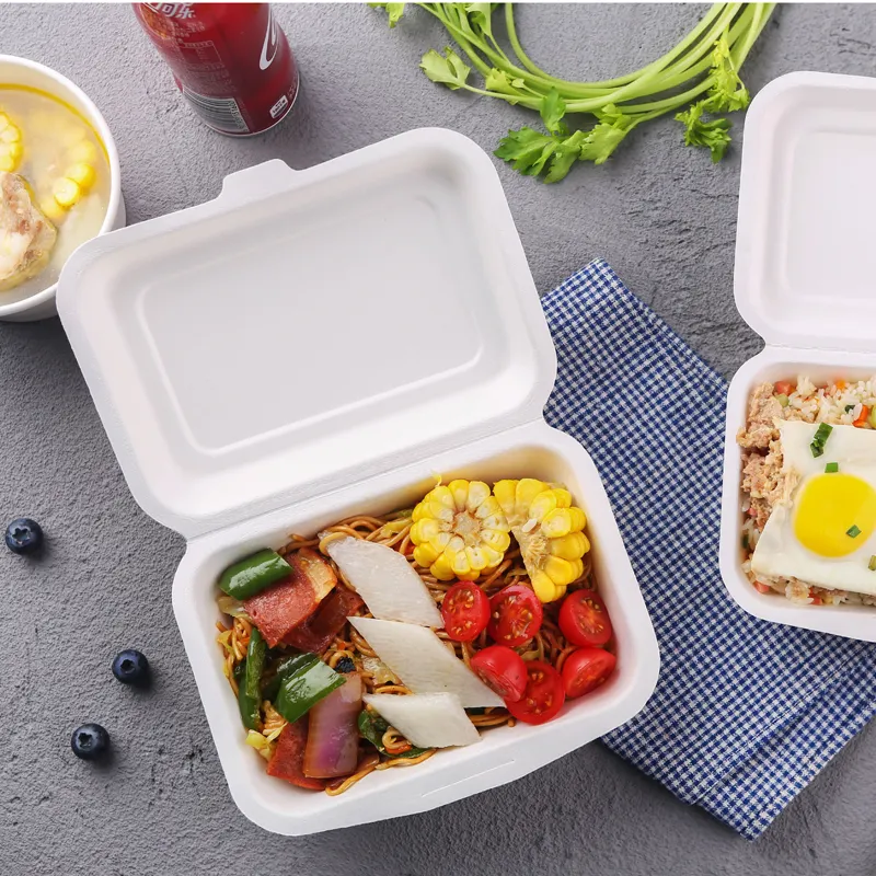 Bagasse Menüboxen mit Deckel, ungeteilt - Zuckerrohr - RyanPack