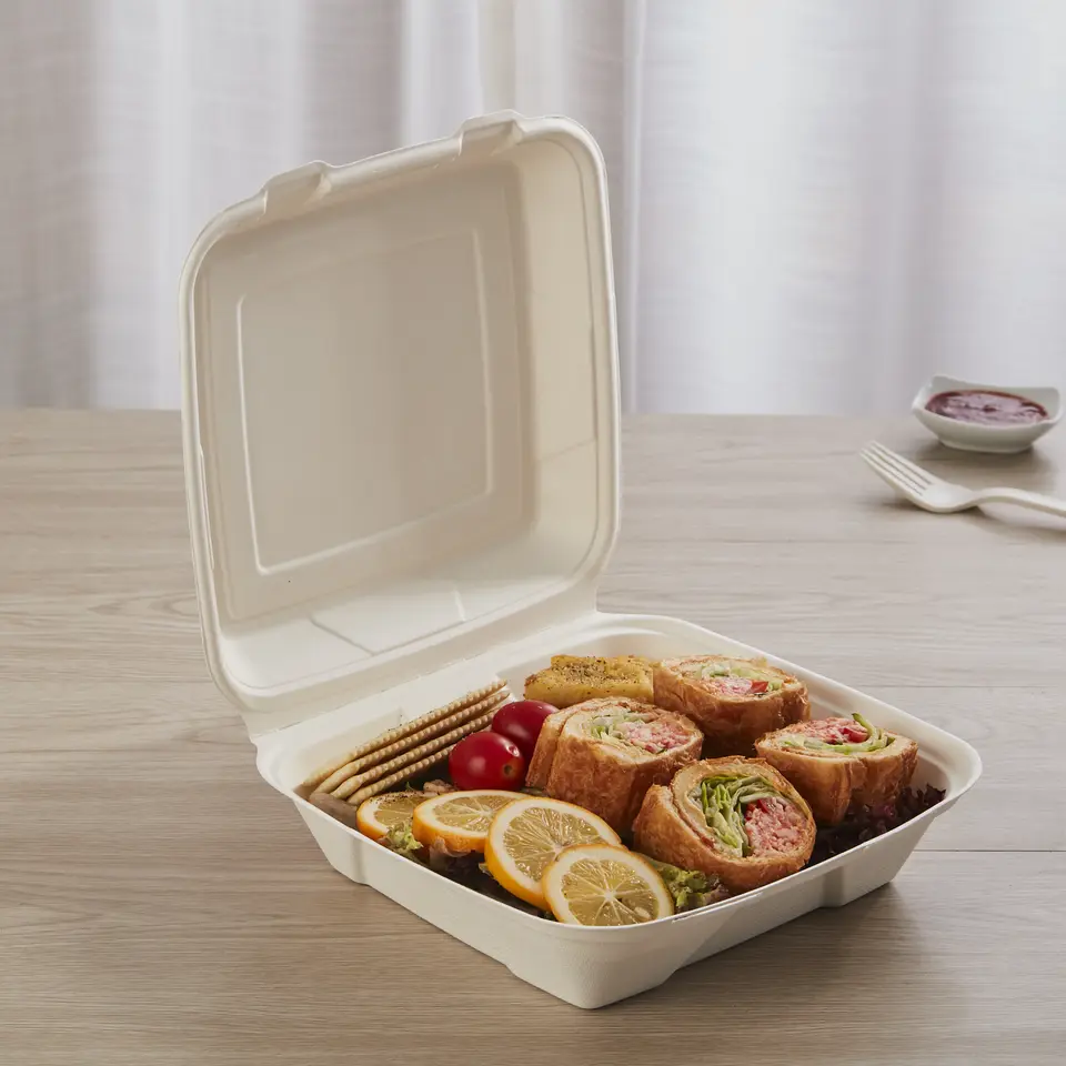 Bagasse meal boxes with lid, undivided - sugar cane - RyanPack