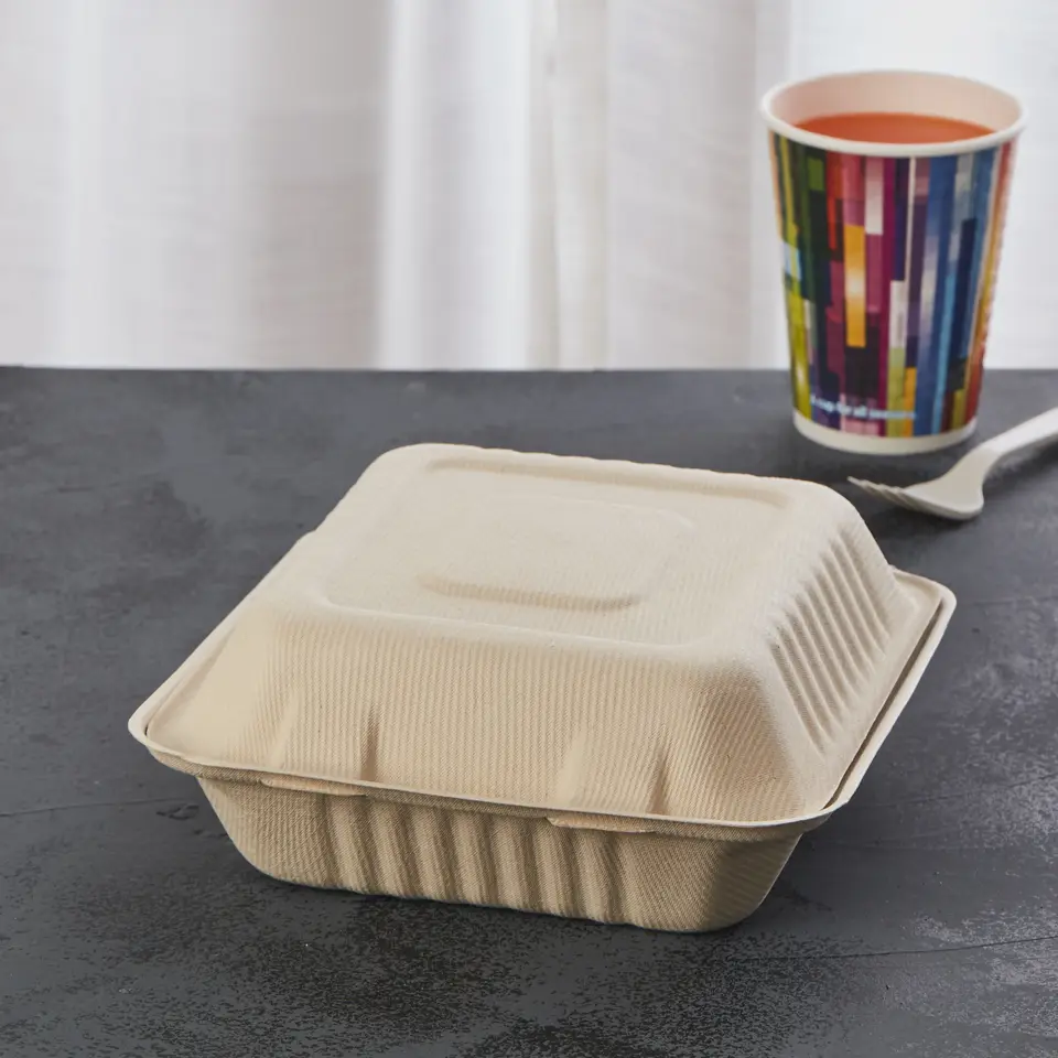 Bagasse Menüboxen mit Deckel, ungeteilt - Zuckerrohr - RyanPack