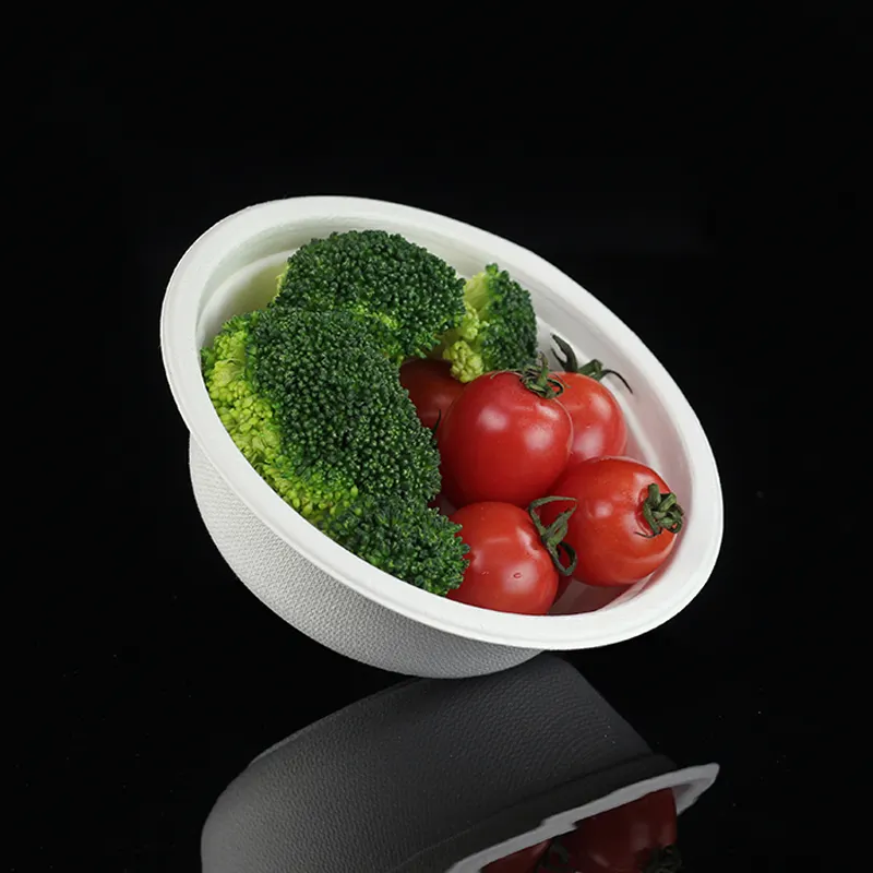 Bagasse bowl - sugar cane - RyanPack