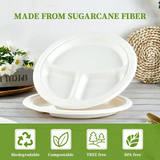 3-geteilt Bagasse Teller - Zuckerrohr - RyanPack
