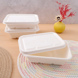 Bagasse husks - sugar cane - RyanPack