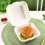 Bagasse Menüboxen Rechteckig ungeteilt - Zuckerrohr - RyanPack
