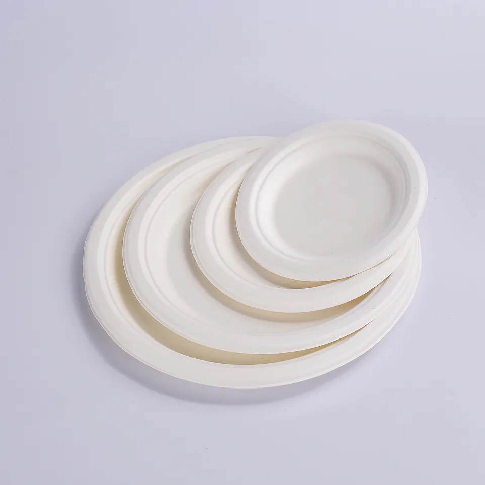 Bagasse Teller - Zuckerrohr - RyanPack