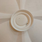 Bagasse lids for cups - sugar cane - RyanPack
